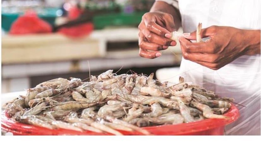 Hope For Indian Shrimp Export As US Team Inspects Nets Fishery News Hope for indian shrimp export as us team inspects nets fishery news