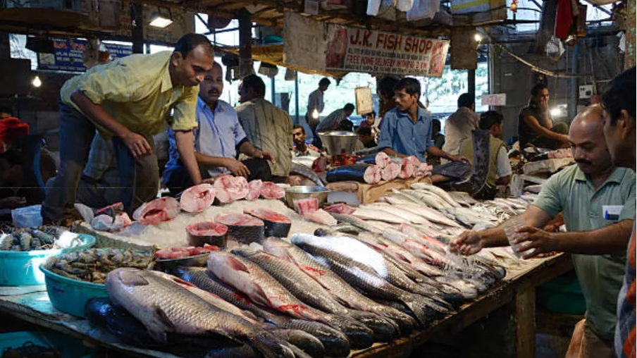 Rising Fish Consumption in India Signals Global Opportunity for ...
