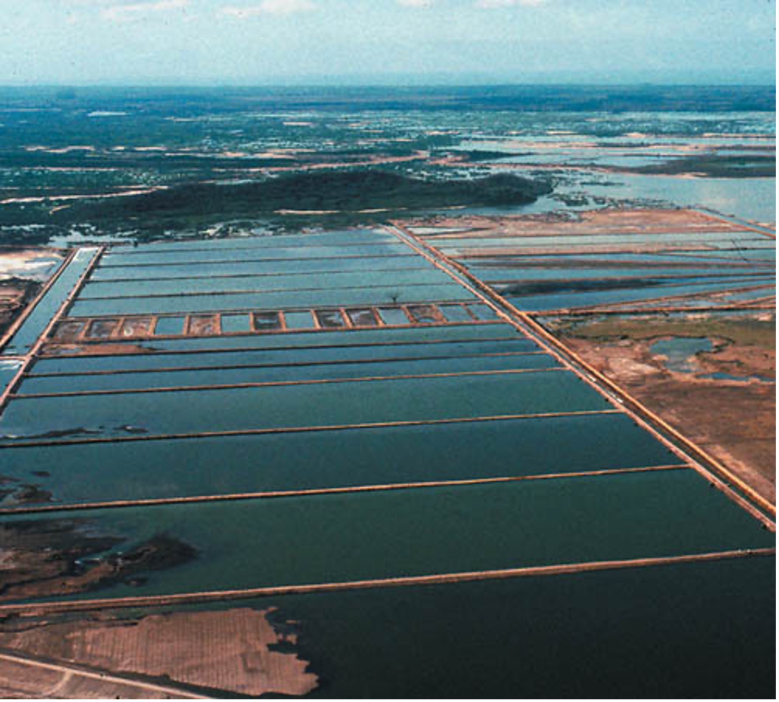 Coastal Aquaculture Boosts India's Seafood Industry Under PMMSY ...