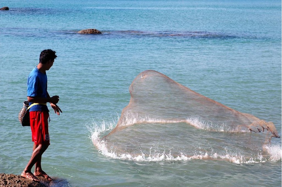 Argentina's Fishing Industry Faces $300 Million Loss in 2024 Amidst ...