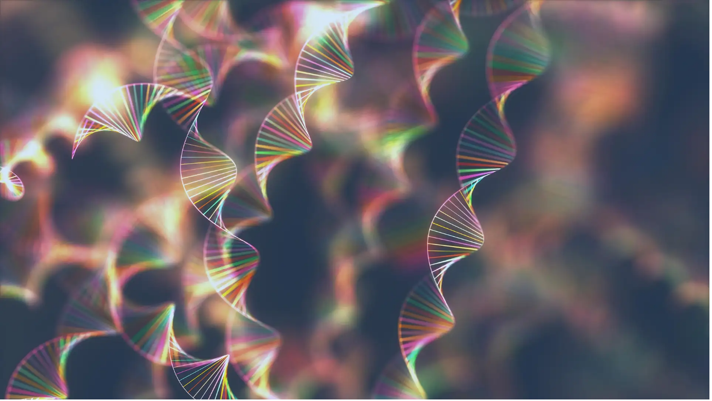 Workshop Information Icar Winter School On Genetic And Genomics Tools